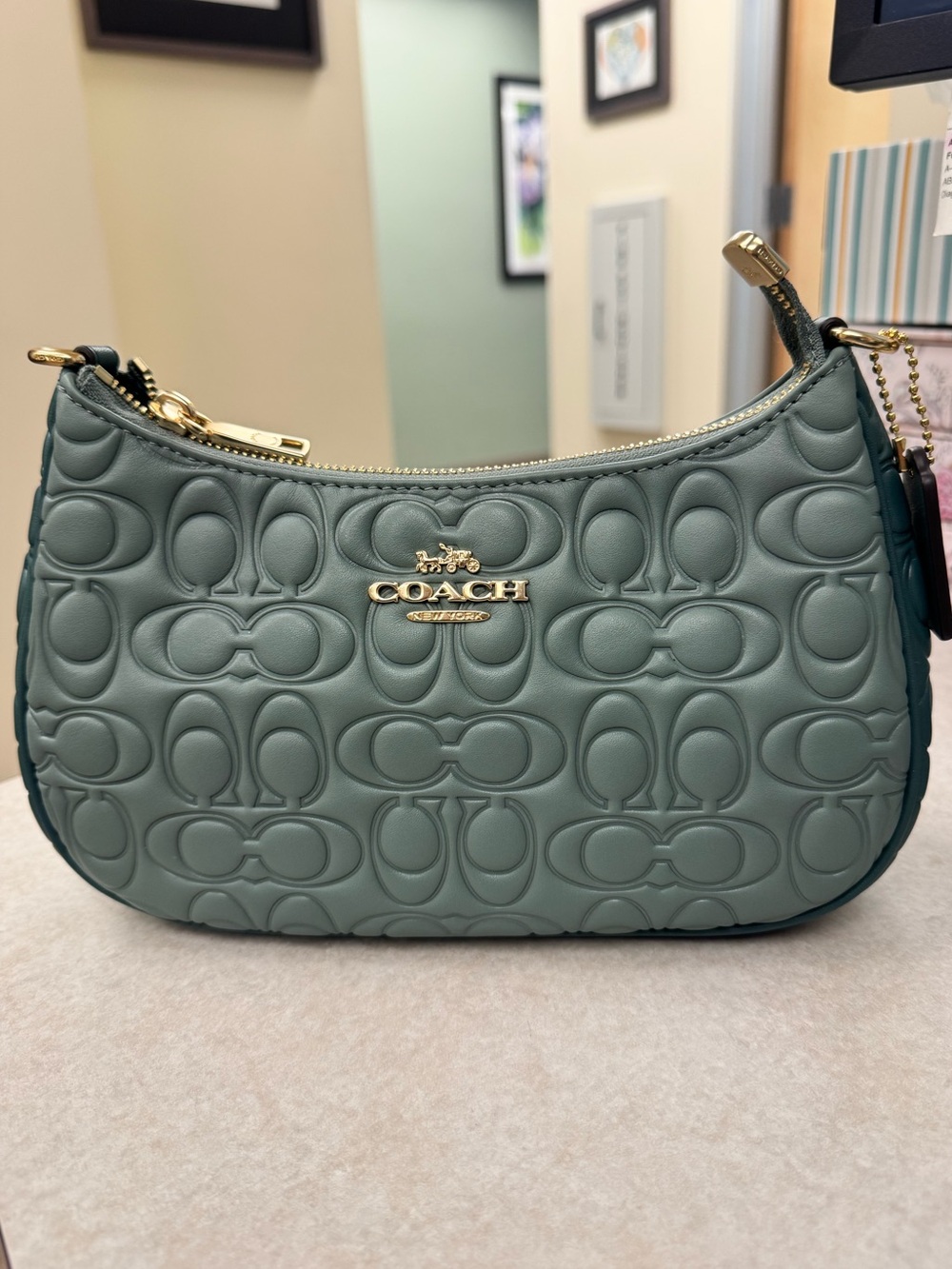 NWT - Coach - Teri Shoulder Bag - Sage - Signature Embossed Leather